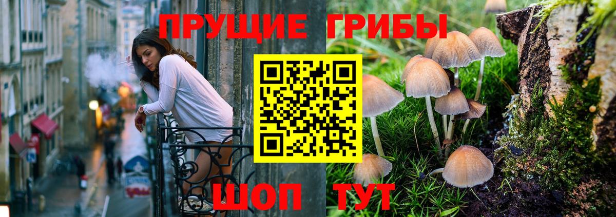 Псилоцибиновые грибы GOLDEN TEACHER  Псилоцибиновые грибы ЛСД  Вход с VPN  Аксай 