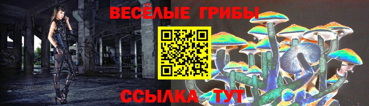 Псилоцибиновые грибы мицелий Аксай